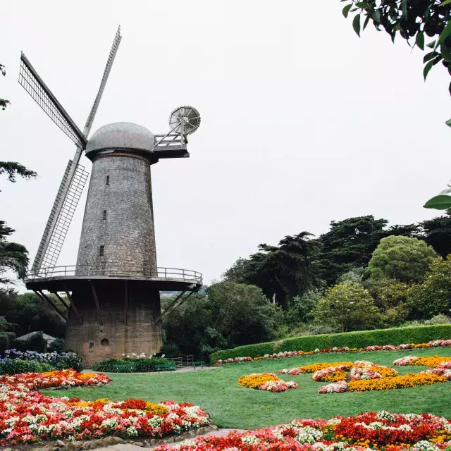 Dutch Windmill in Golden Gate Park