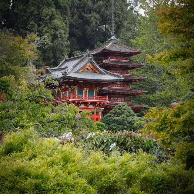 Japanese Tea Garden