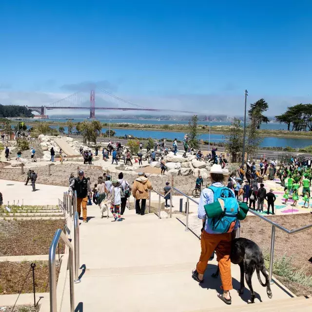 Presidio Tunnel Tops