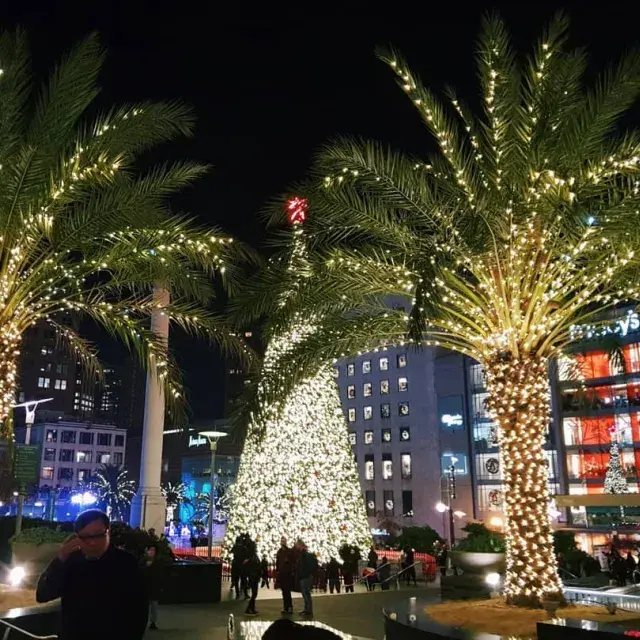 유니언 스퀘어 크리스마스 트리