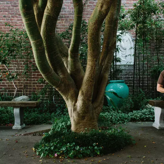 Dennis McNally sitting by a tree