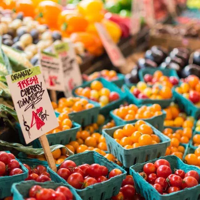 Os agricultores comercializam tomates