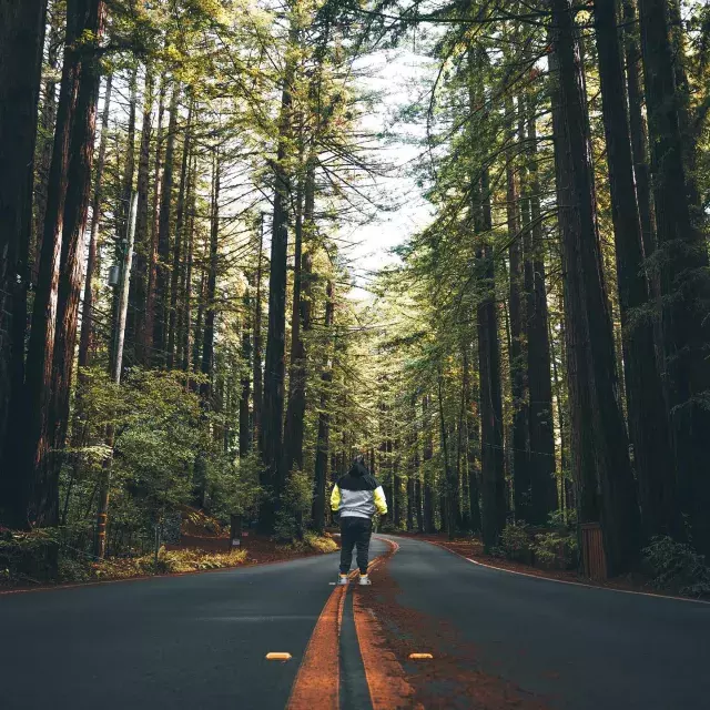 Homem fica de costas para a câmera na estrada que passa por altas sequoias. 