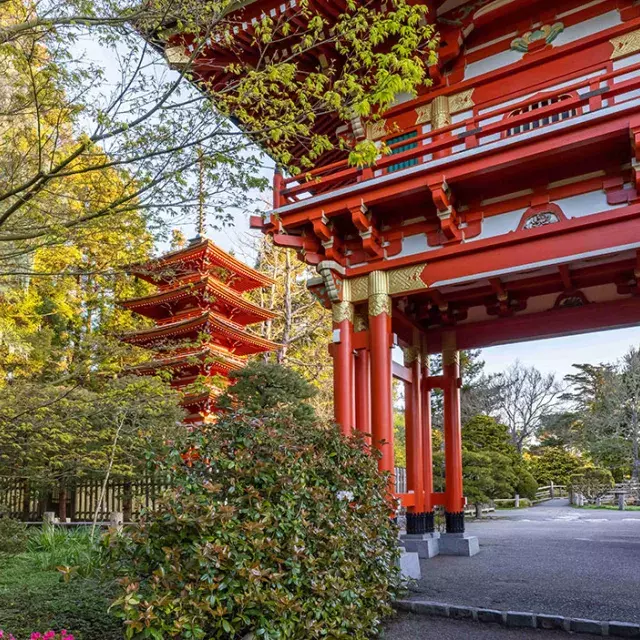 Templo do Jardim de Chá Japonês