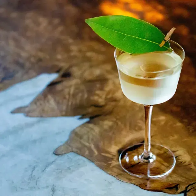 A martini served at True Laurel