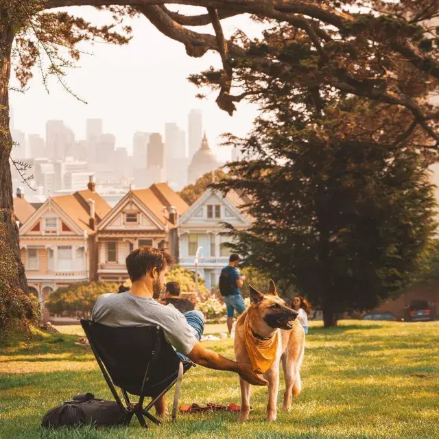 A man and his dog in San Francisco's Alamo Square Park, near the famous Painted Ladies.