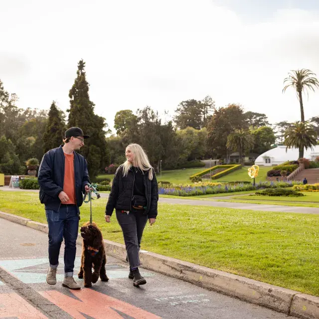 Woman and man walking a dog down JFK in Golden Gate Park