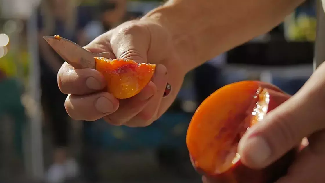 Someone cutting into the fruit at the farmers' market